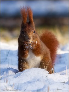 IMG_0487 (2)_filtered.jpg