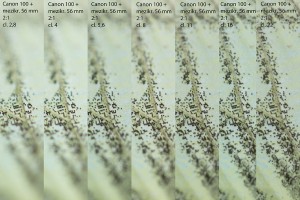 test Canon 100 + mezikr 56mm 2 ku 1 1200 x 800.jpg