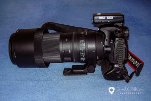 Wildlife fotospoušť