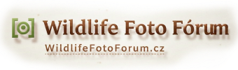 WILDLIFE FOTOFÓRUM